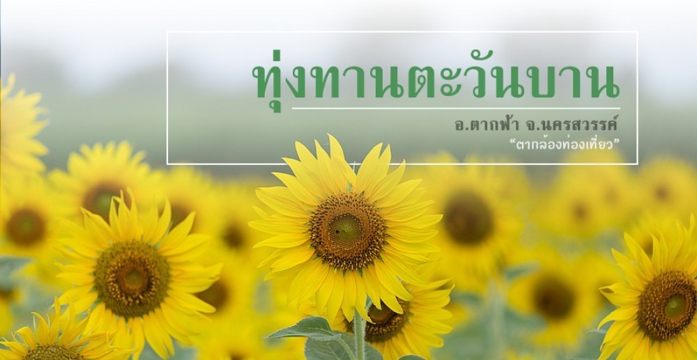 bb7933cd-ab53-c86e-8025-58479964d27c